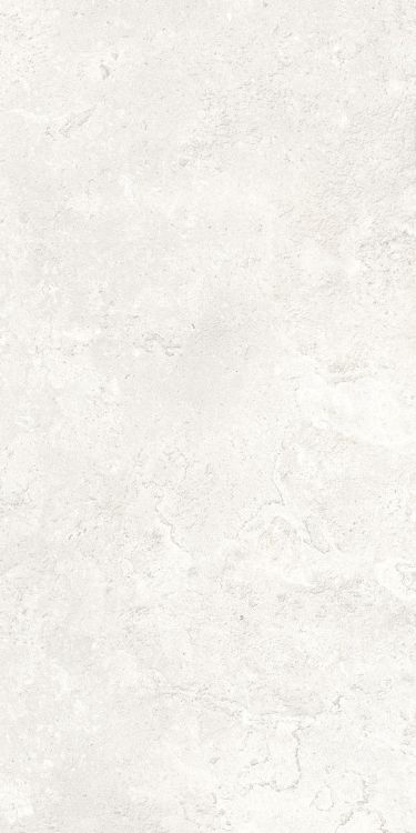 Petra Viva Bone Matte 12 x 24